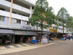 Clementi Avenue 3 (D5), Shop House #572054701